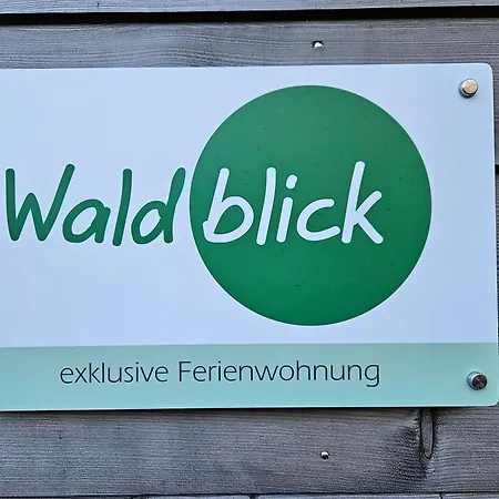 Daire Naturverliebt Am Diemelsee - Waldblick